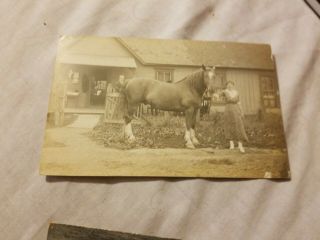 Real Photo Postcard 1908 St.  Mary’s Ohio Horse South Pear Street