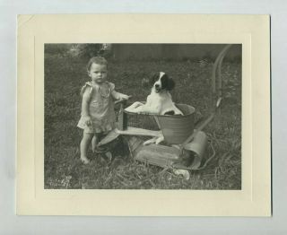 Vintage (7x9) Photograph Cute Child Pet Dog Puppy Antique Metal Stroller Wz5106