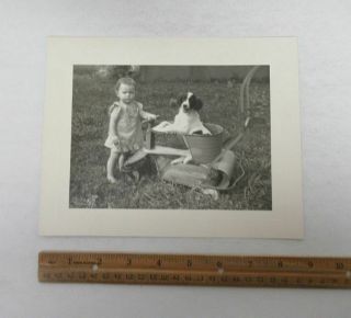 Vintage (7x9) Photograph Cute Child Pet Dog Puppy Antique Metal Stroller wz5106 4