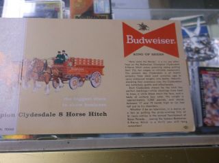 1950 ' S Vintage Budweiser Clydesdale Horses post card extra long FOLD OUT 2