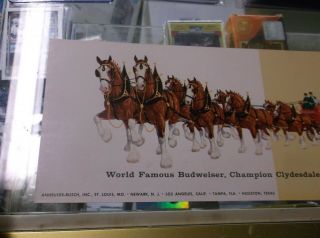 1950 ' S Vintage Budweiser Clydesdale Horses post card extra long FOLD OUT 3