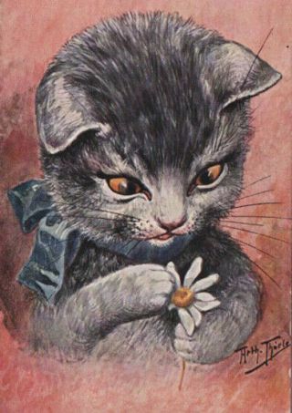 A/s Arthur Thiele Blue Ribbon Cat Kitten Examines Daisy Flower Petal Postcard
