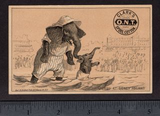 Coney Island Jumbo 1800 ' s Barnum Circus Elephant Clarks Sewing Thread Trade Card 2