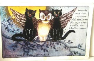Vitg Owl & 2 Pussy Cats Embossed Happy Halloween Postcard Hallowe’en,  Whitney