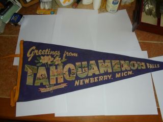 Vintage Felt Pennant - Michigan Tahquamenon Falls Newberry 1950 