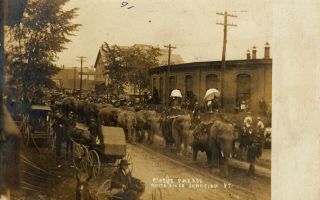 White River Junction,  Vt Rppc Elephants In A Circus Parade 1907