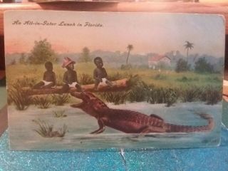 Antique Post Card Black Americana Alligator Florida 3 Boys Fine 1909