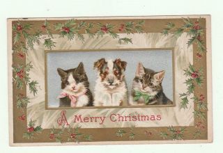 Vintage Early Christmas Postcard Cats & Dogs Holly Border Gold & Silver