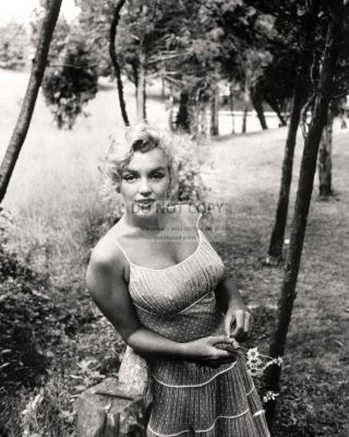 Marilyn Monroe Iconic Actress And Sex - Symbol - 8x10 Publicity Photo (zz - 682)