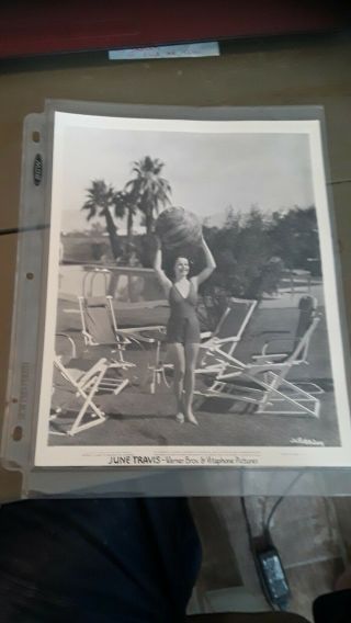 Vintage Photo: Pin - Up Girl Swimsuit 1938 June Travis 8 " X10 "