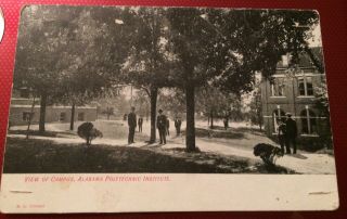 Vintage Auburn Postcard View Of Campus Alabama Polytechnic Institute