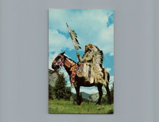 Indian Chief Dressed In Full Headdress On Horse Vintage Postcard