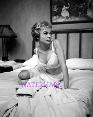 Janet Leigh Actress/singer/dancer Sitting In Bed In Lingerie Publicity Photo