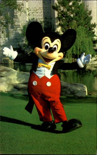 Walt Disney World Mickey Mouse Mouse - Ka - Cheer Florida Fl