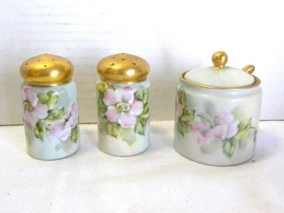 Antique Hand Painted Salt Pepper Shakers Sugar Bowl Spoon Signed Wild Rose