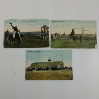 3 Butte Chinook Great Falls Montana Cowboy Outlaw Antique Rodeo Hay Postcards
