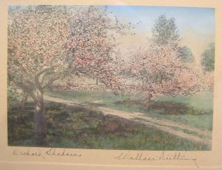 Vintage Wallace Nutting Framed Photo Orchard Shadows Apple Blossoms