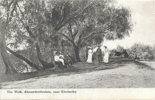 The Walk Alexandersfontein Kimberley South Africa 1909 Postcard To Uk