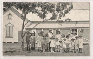 Vintage Postcard Rppc Pine Creek School & Scholars Northern Territory Series