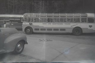 8 X Rare B&w Photo Negatives Bus Tour In Victoria British Columbia In The 1950s