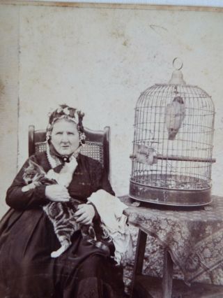 Antique Cabinet Card Of An Old Lady With Her Cat And Parrot.