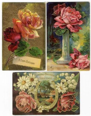 Pink Red Roses Flowers 3 Birthday Greeting Postcards 1910 Bright Colors Embossed
