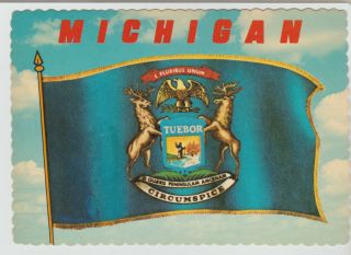Michigan State Flag,  Vintage 4 " X 6 " Postcard