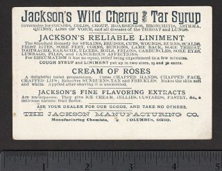 Wichita KS 1890 ' s Euclid Ave Bike Jacksons Wild Cherry Cancer Cure Photo Ad Card 4