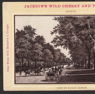 Wichita KS 1890 ' s Euclid Ave Bike Jacksons Wild Cherry Cancer Cure Photo Ad Card 5