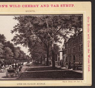 Wichita KS 1890 ' s Euclid Ave Bike Jacksons Wild Cherry Cancer Cure Photo Ad Card 6