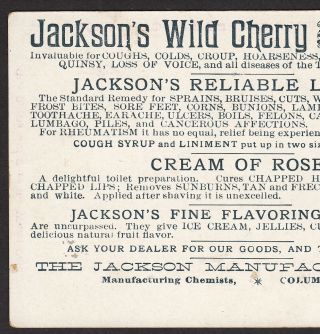 Wichita KS 1890 ' s Euclid Ave Bike Jacksons Wild Cherry Cancer Cure Photo Ad Card 7