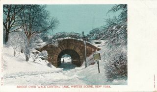 York City – Central Park Bridge Over Walk Winter Scene – Udb (pre 1908)