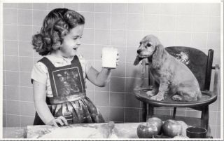 Pet Savers Foundation Girl Child Puppy Dog Baking Rescue Org Postcard D49