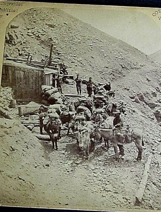 Dyer Mine Pack Train,  Shack,  Donkey & Men,  Early Colorado Stereoviews A.  Martin