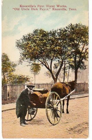 Vintage Postcard Knoxville Tn First Water Old Uncle Dick Payne Horse Carri