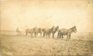 C - 1910 Farming Agriculture Horse Plow Team Rppc Photo Postcard 5721