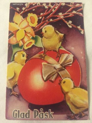 Vintage Swedish Mini Postcard Pussy Willows Baby Chicks Egg Easter Sweden