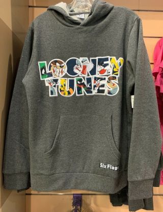 Six Flags Magic Mountain Looney Tunes Gray Adult Size Hoodie Sweater Medium