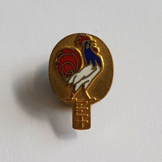 Table Tennis France Federation Pin Badge