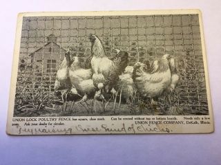 Vintage Postcard Advertising Union Fence Co.  Dekalb Il Chickens