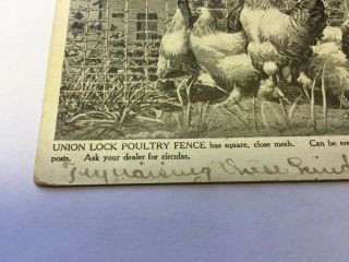 Vintage Postcard Advertising Union Fence Co.  DeKalb IL Chickens 2
