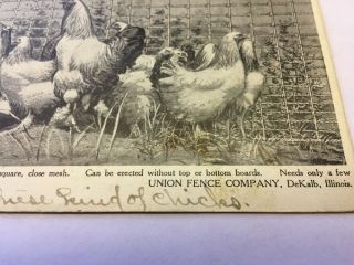 Vintage Postcard Advertising Union Fence Co.  DeKalb IL Chickens 3