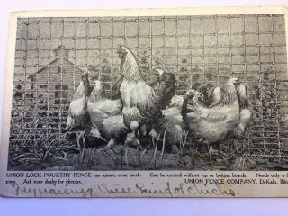 Vintage Postcard Advertising Union Fence Co.  DeKalb IL Chickens 4