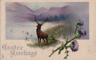 Tuck Postcard Easter Greetings Deer Standing In Marsh Mountains Morris W24