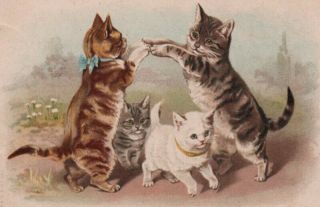 1903 Helena Maguire Cute Kittens Cats Play London Bridge Game Sweet Litho Gem