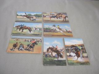7 Vintage Doubleday Postcards,  Rodeo,  Cowboys,  Bucking Bronc Horses,  Bulldogging