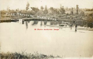 Mi,  Harrietta,  Michigan,  Rppc,  Fish Hatchery Pond,  Doty Photo