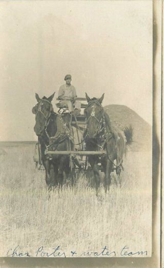 Chas Porter Water Team C - 1910 Farm Agriculture Rppc Photo Postcard 5478