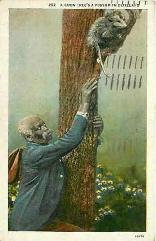 Black Americana,  Black Man,  Possum Up Tree,  Ashville Post Card 60676