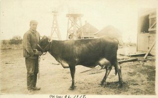 Agriculture Dairy Farmers Cow 1918 Rppc Photo Postcard 4364